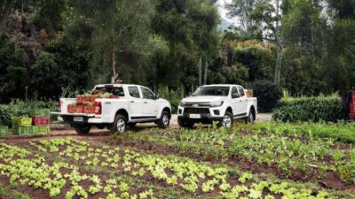 Chevrolet Colorado, ahora en versiones LS y LT