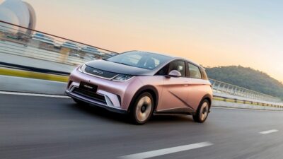BYD Dolphin 2023: Todo lo que debe saber