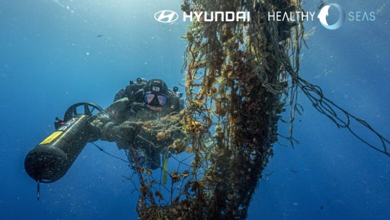 Hyundai y Healthy Seas, luchan para proteger la vida marina