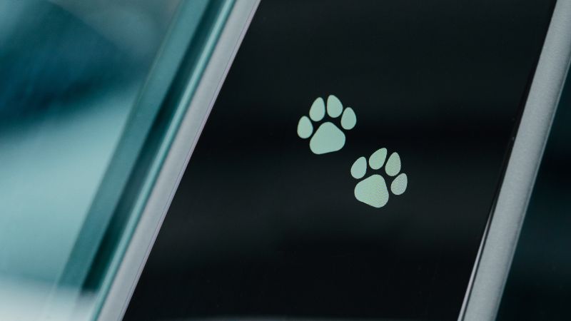 Zeekr X: movilidad eléctrica pensada también para tu mascota