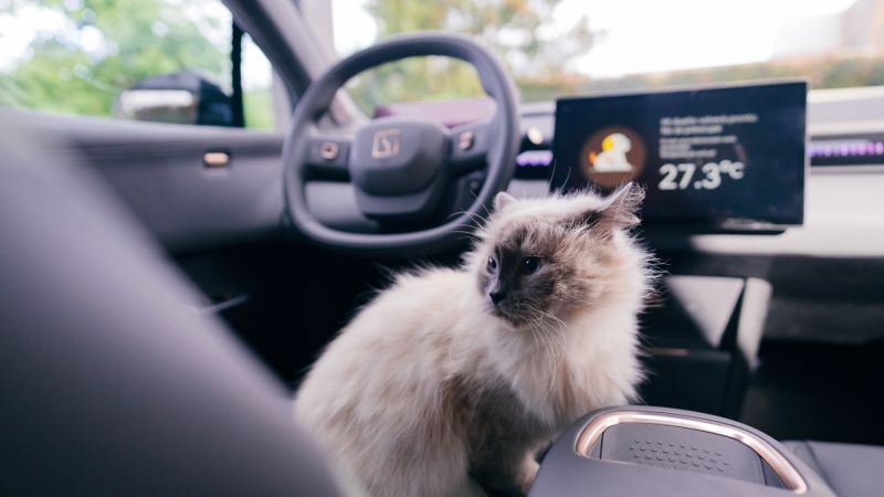 Zeekr X: movilidad eléctrica pensada también para tu mascota