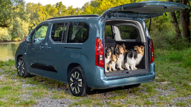 Opel Combo Eléctrica: para celebrar el Día Mundial del Perro