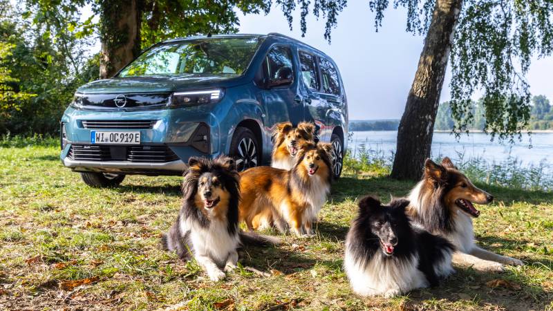 Opel Combo Eléctrica: para celebrar el Día Mundial del Perro
