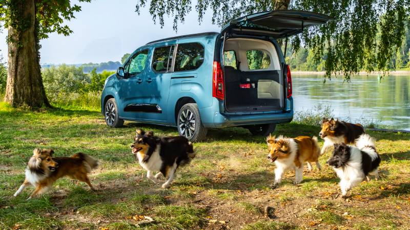 Opel Combo Eléctrica: para celebrar el Día Mundial del Perro