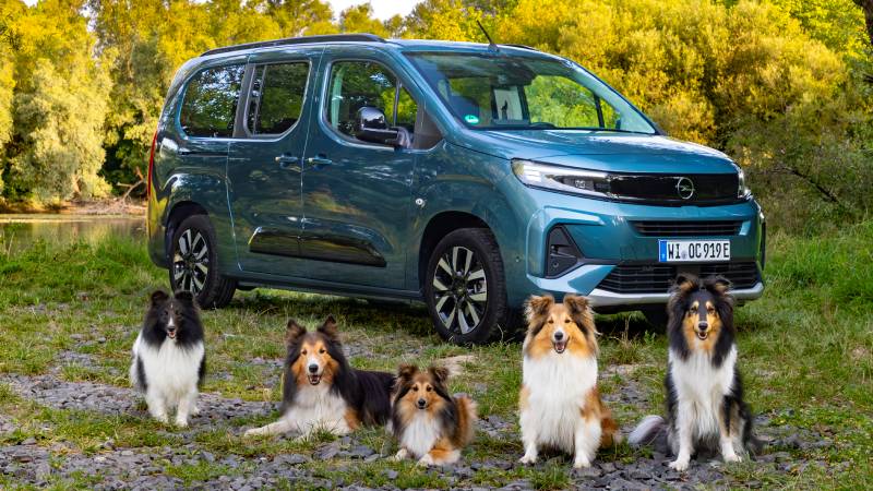 Opel Combo Eléctrica: para celebrar el Día Mundial del Perro
